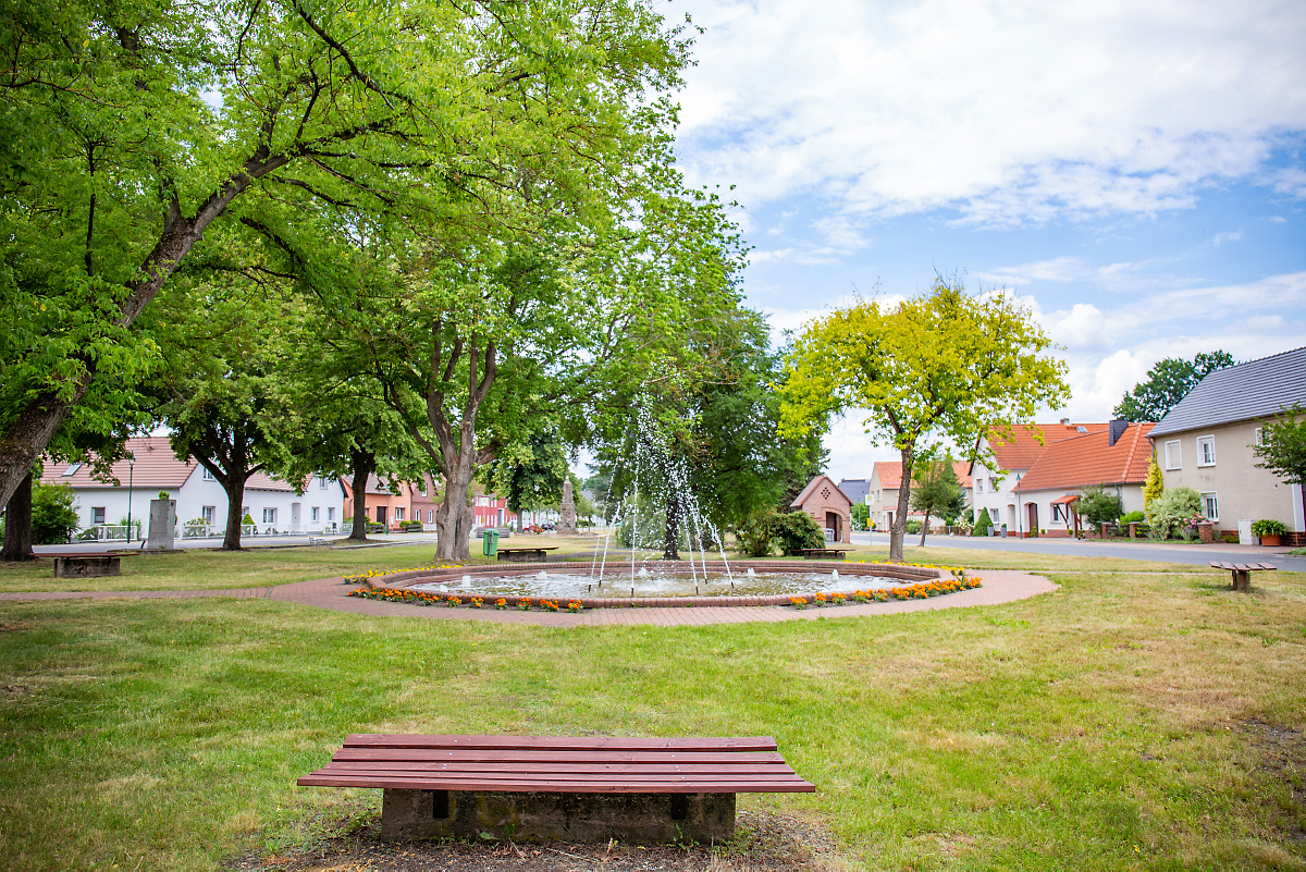 Neue Ortsvorsteher in der Elsterheide