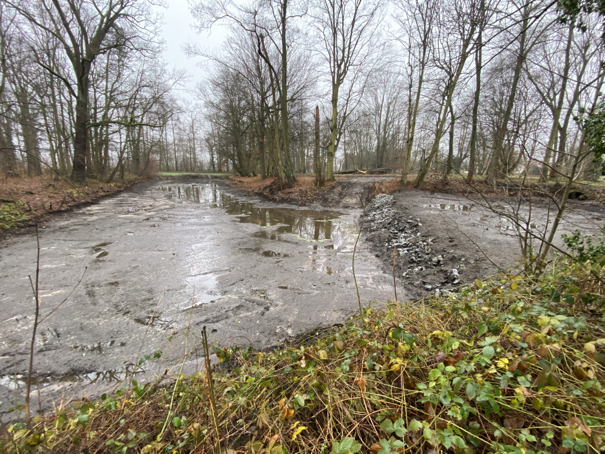 Schlossteichsanierung in Wiednitz beendet