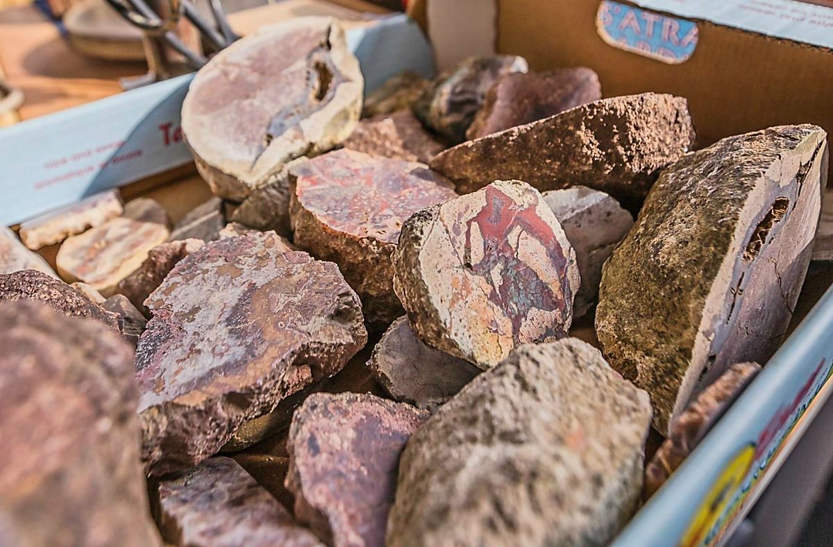 Exkursionen in die geologische Erdgeschichte
