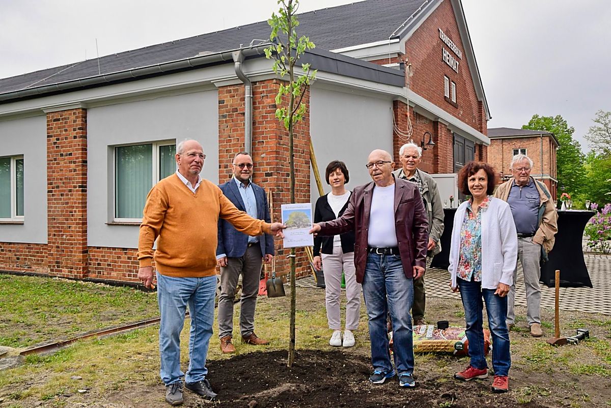 Gepflanzte Friedenslinde mahnt zum Miteinander