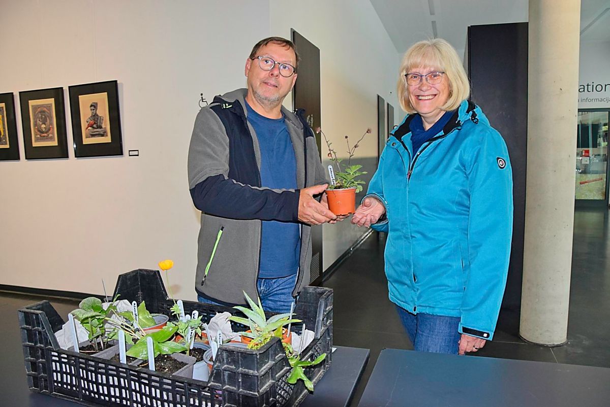 Das Bürgerzentrum als Pflanzentausch-Ort