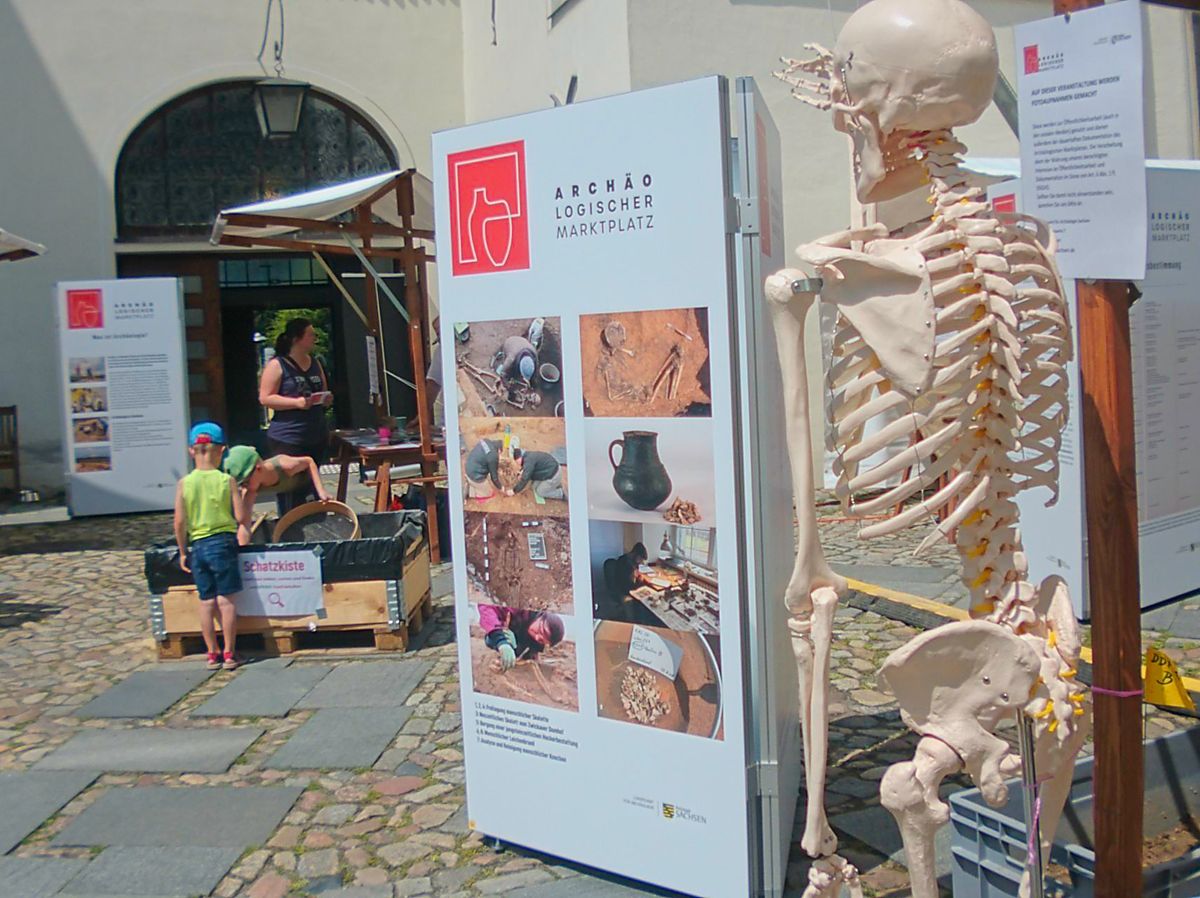 Geschichts-Einblicke mit Gerippe