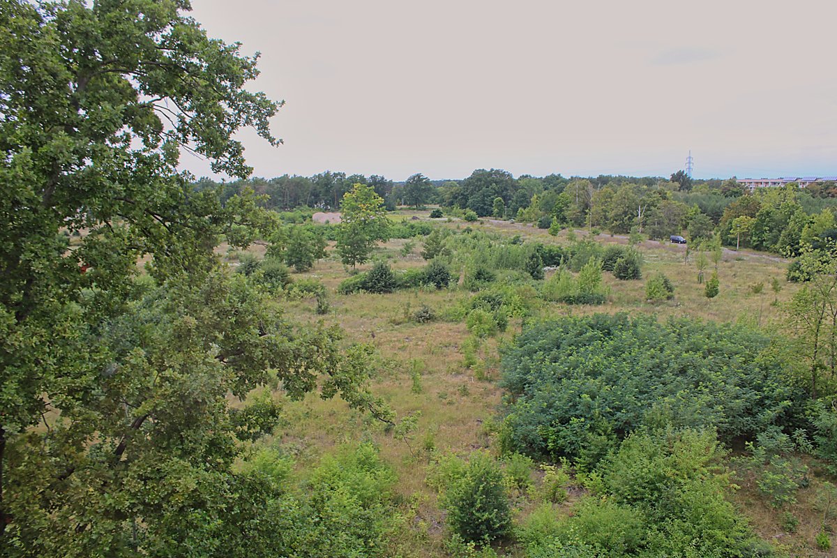 Neue Kühnichter Heide: Drei Fragen an die LebensRäume
