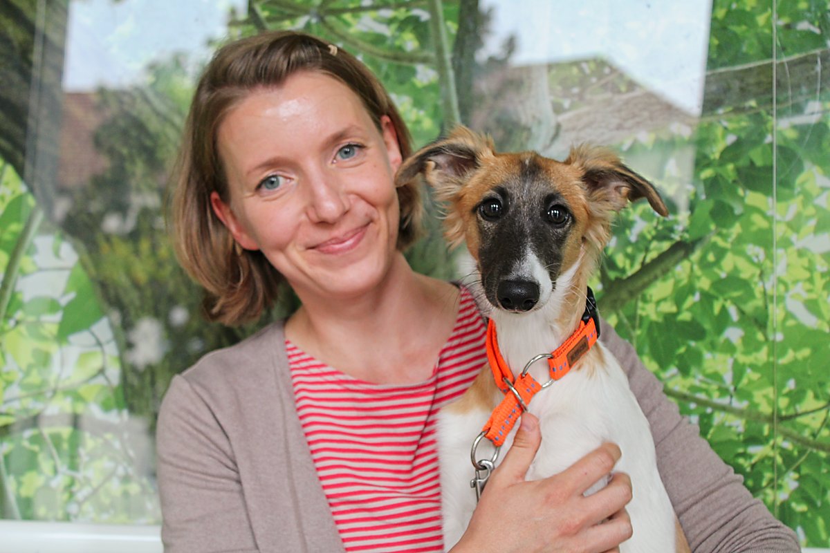 Ob Alfi Lessing&#39;s Schulhund werden kann?