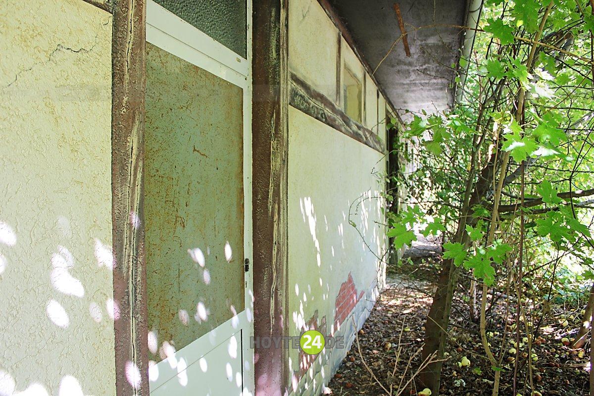 Man sieht das alte Sanitärgebäude in Groß Särchen - zugewachsen.