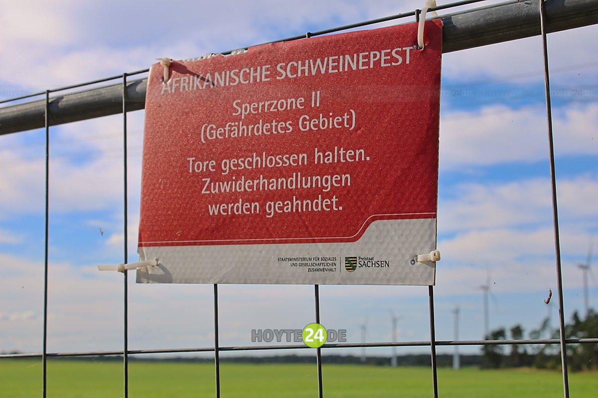 Man sieht ein Schild mit einer Warnung vor der Afrikanischen Schweinepest.