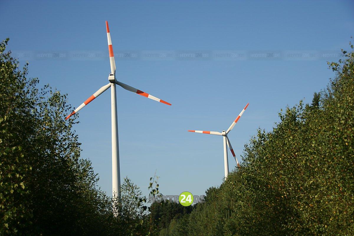 Man sieht Windräder über Wald.