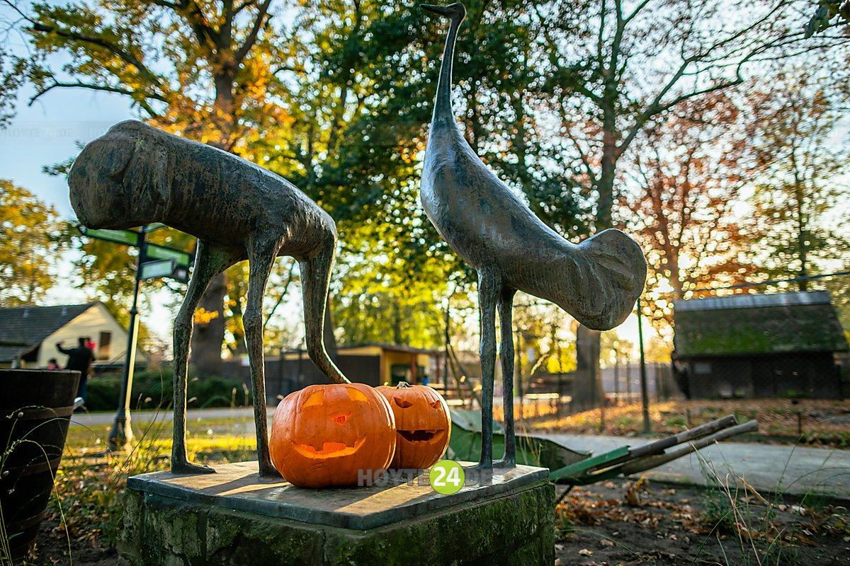 Man sieht Jürgen von Woyskis im Zoo stehende Plastik "Kraniche" und zwei Halloween-Kürbisse.