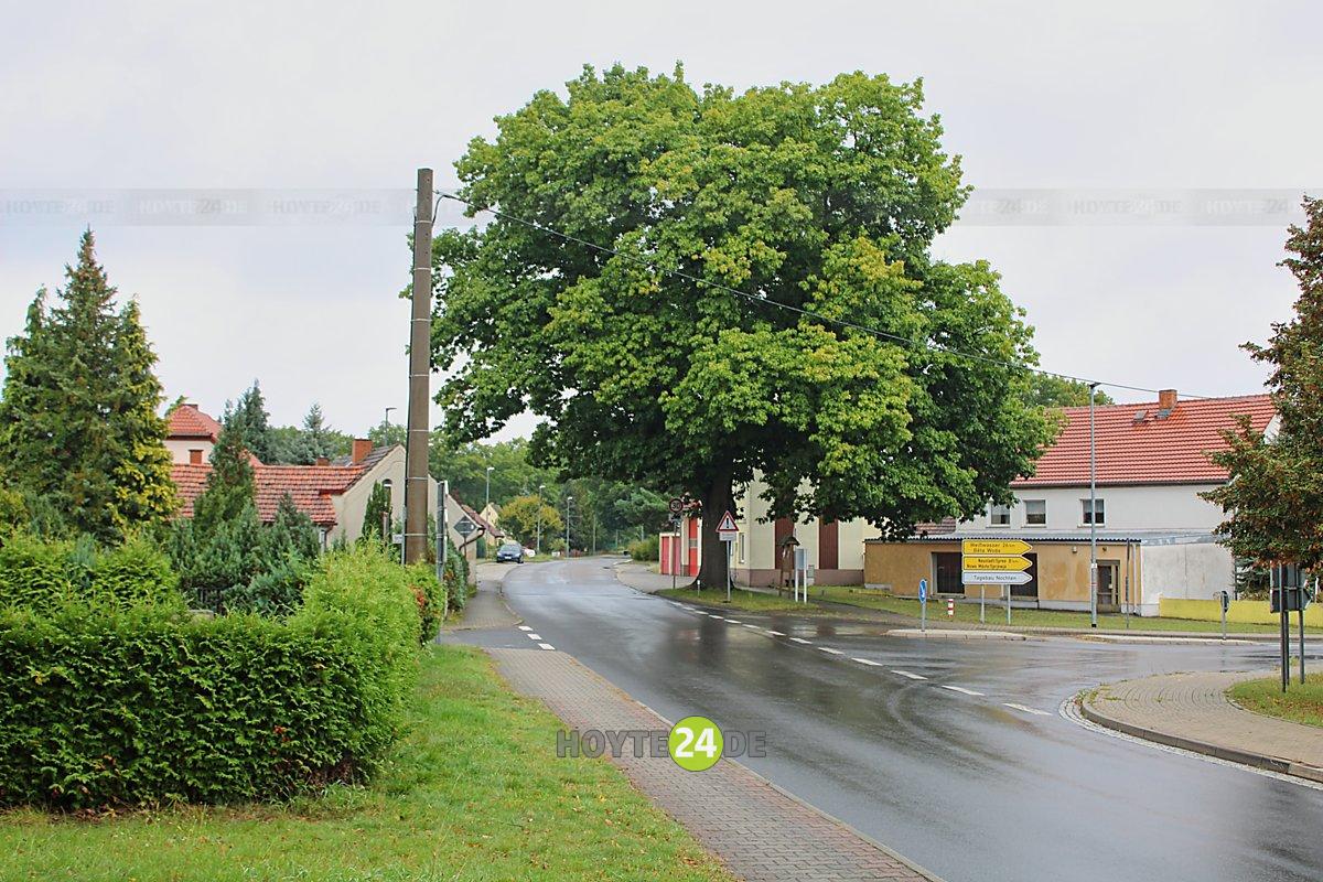 Man sieht die Hauptstraße in Burgneudorf.