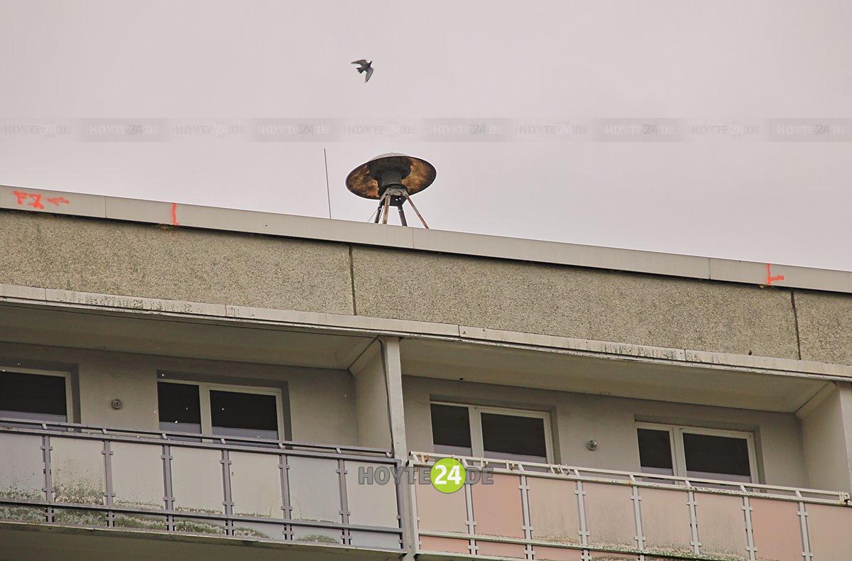 Man sieht die Sirene auf dem Hochhaus am Knie.