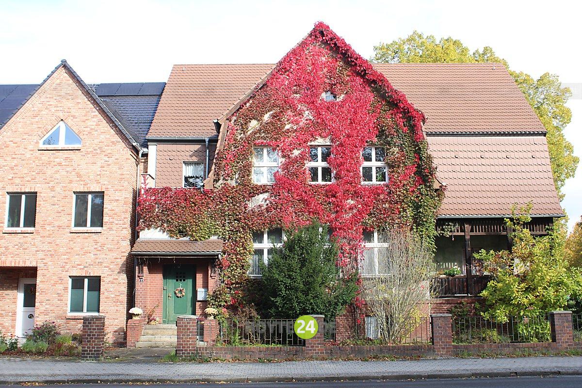 Man sieht Herbstlaub in Form von Bewuchs an einem Haus in der Frentzelstraße.