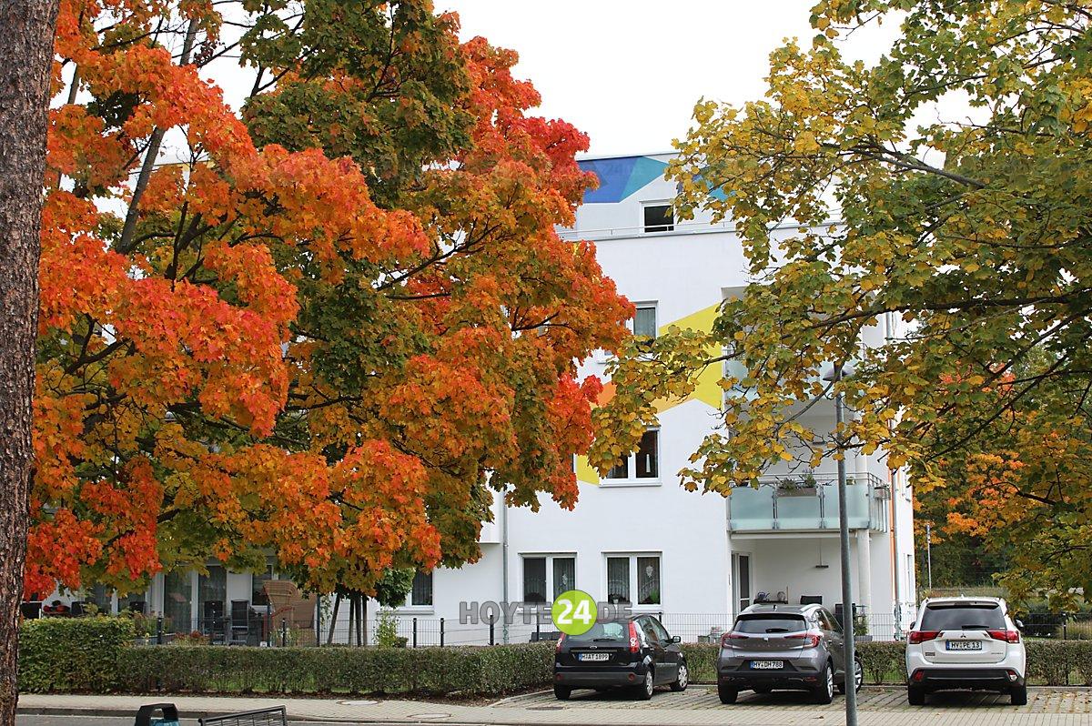 Man sieht Herbstlaub im WK III.