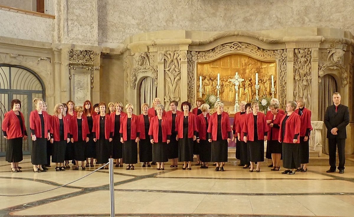 Man sieht den Frauenchor Musica viva aus Leipe-Torno.