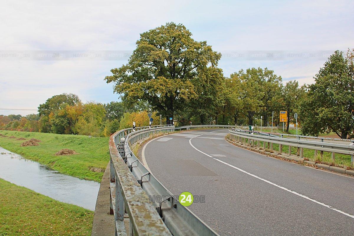 Man sieht die Seidewinkler Brücke über die Schwarze Elster mit zu fällenden Bäumen.