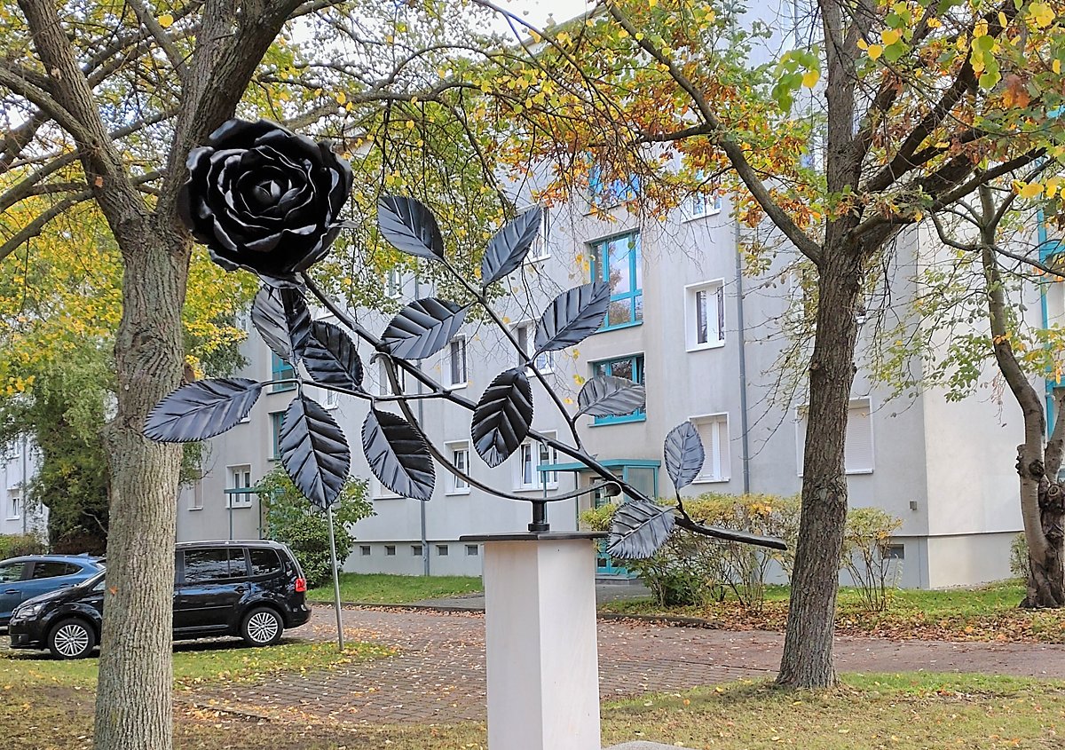 Man sieht die Schwarze Rose im WK VI.