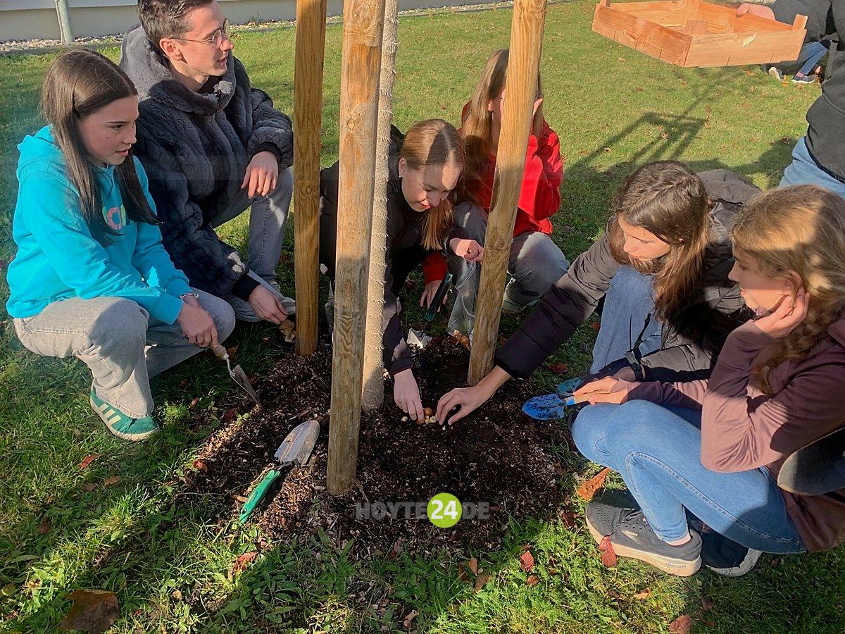 Man sieht Schülerinnen und Schüler beim Frühblüher-Stecken.