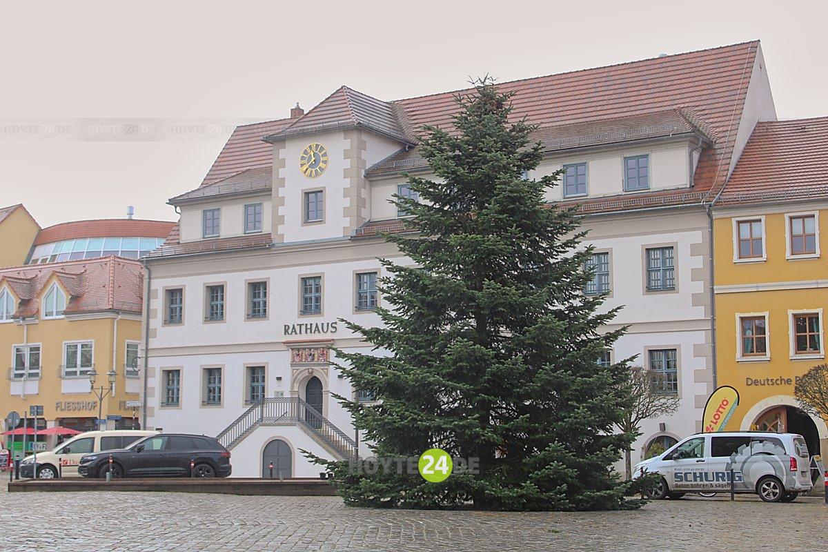 Man sieht den 2025-er Weihnachtsbaum auf dem Markt.