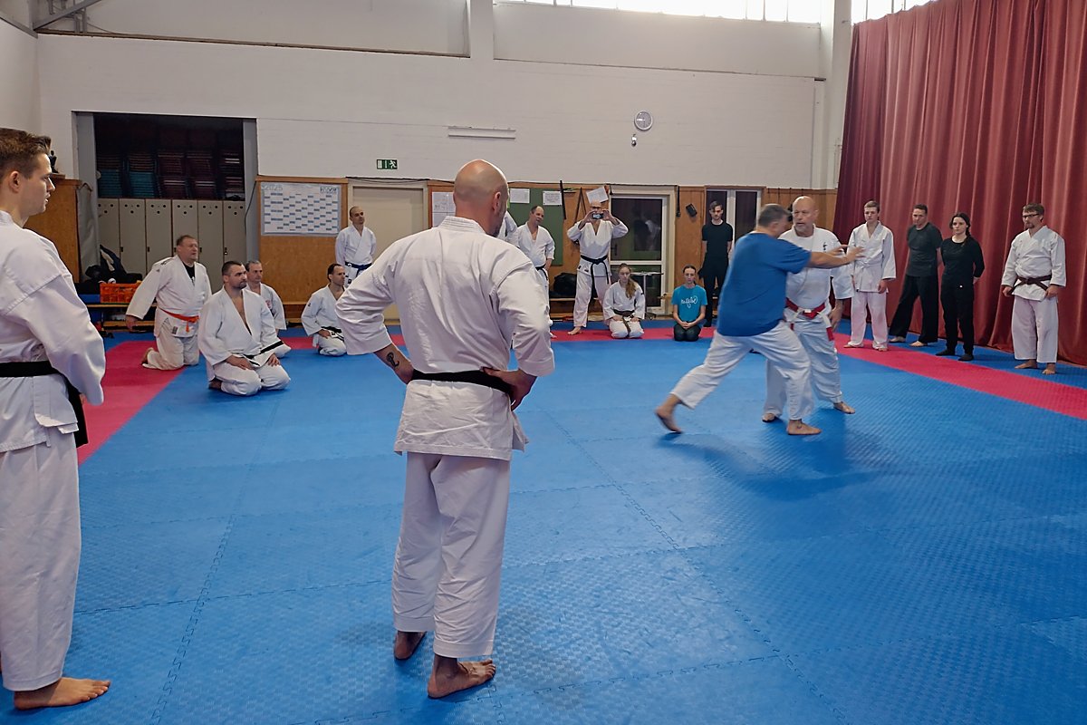 Man sieht Karate-Training.