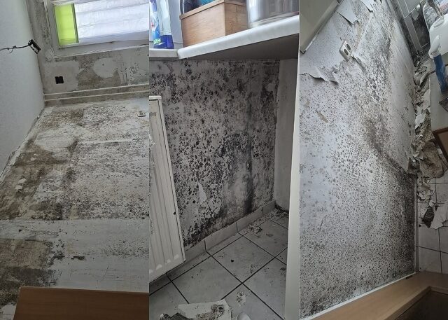 Man sieht verschimmelte Wände.