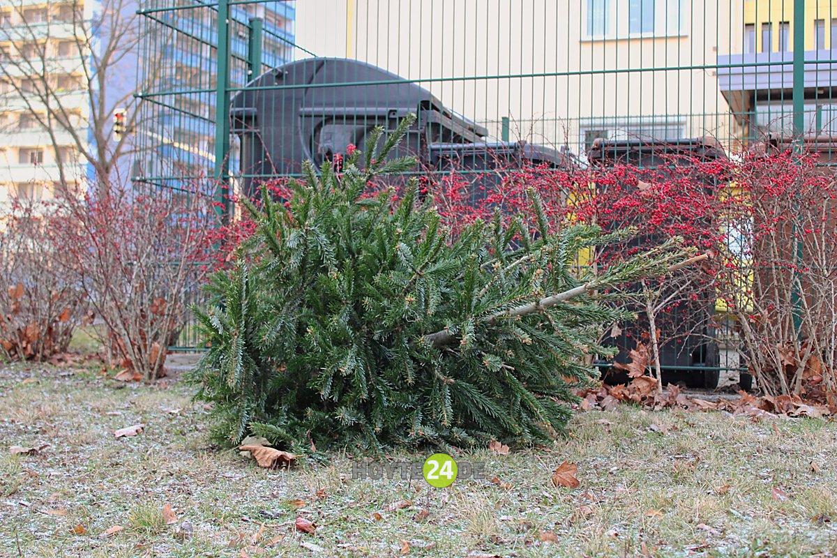 Man sieht einen Weihnachtsbaum vor einem Müllplatz in Hoyerswerdas WK III.
