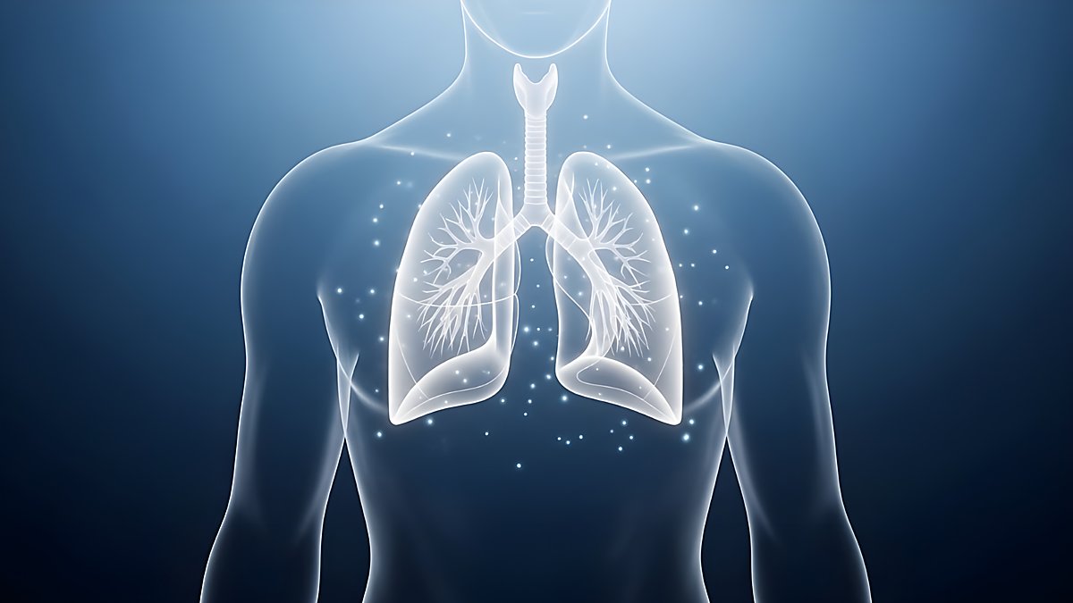 Man sieht eine Grafik mit einer Lunge.